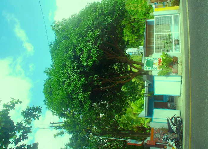 Pedz Cing Mango オスロブ